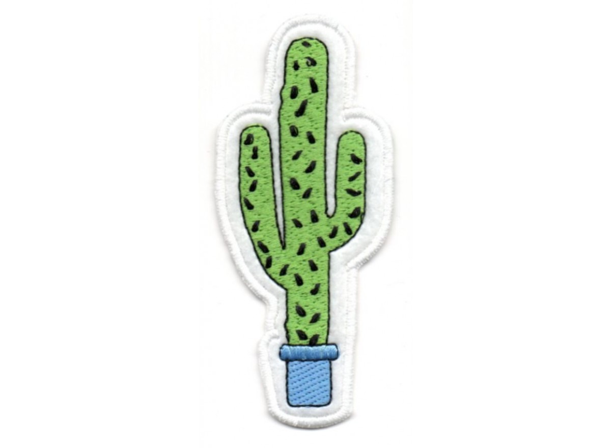 Pianta Cactus
